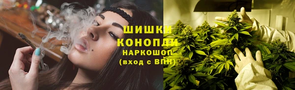 бошки Алексин