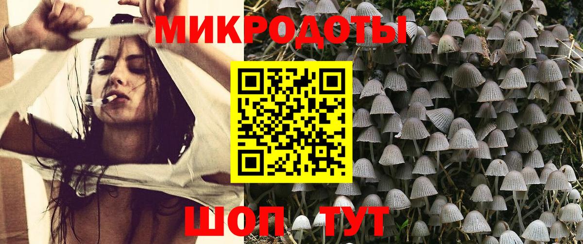 Тара  Псилоцибиновые грибы MAGIC MUSHROOMS  Вход с VPN 