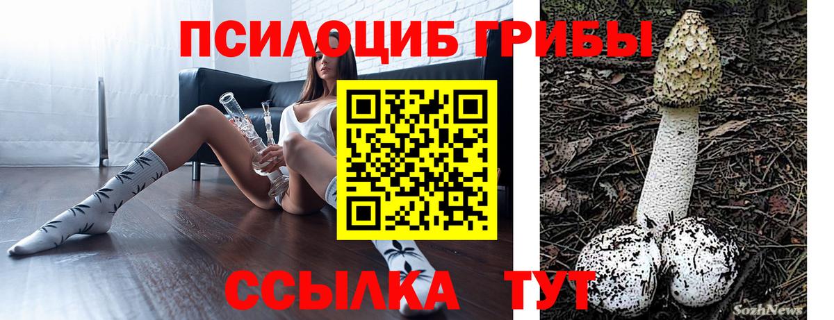 Галлюциногенные грибы Cubensis Тара